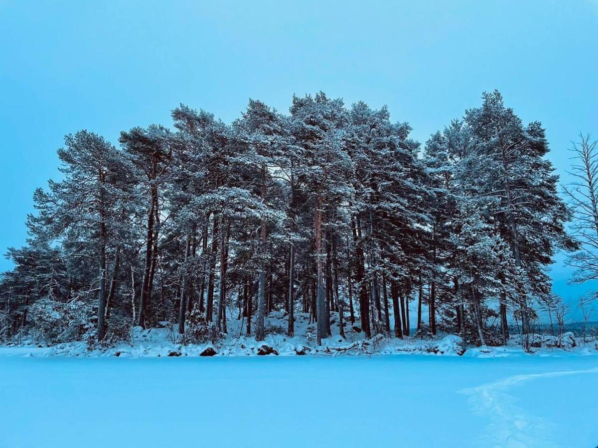 Romantic Spa Villa With Fireplace By The Lake Stjarnsund エクステリア 写真